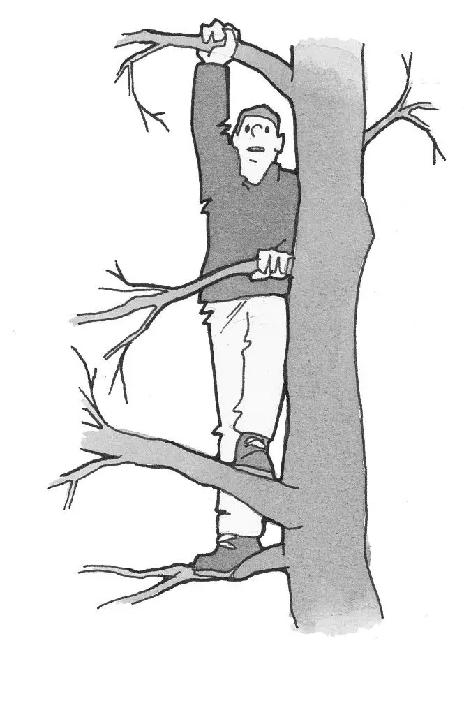 2. Klatre op og ned ad et træ