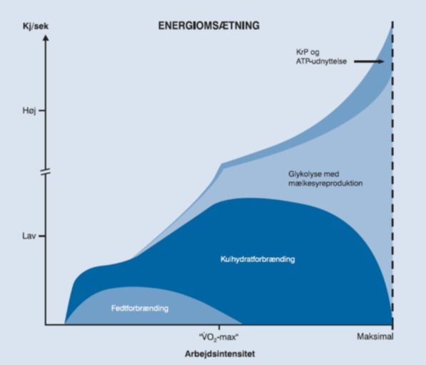 Forskellen på aerob og anaerob energisystem og arbejde