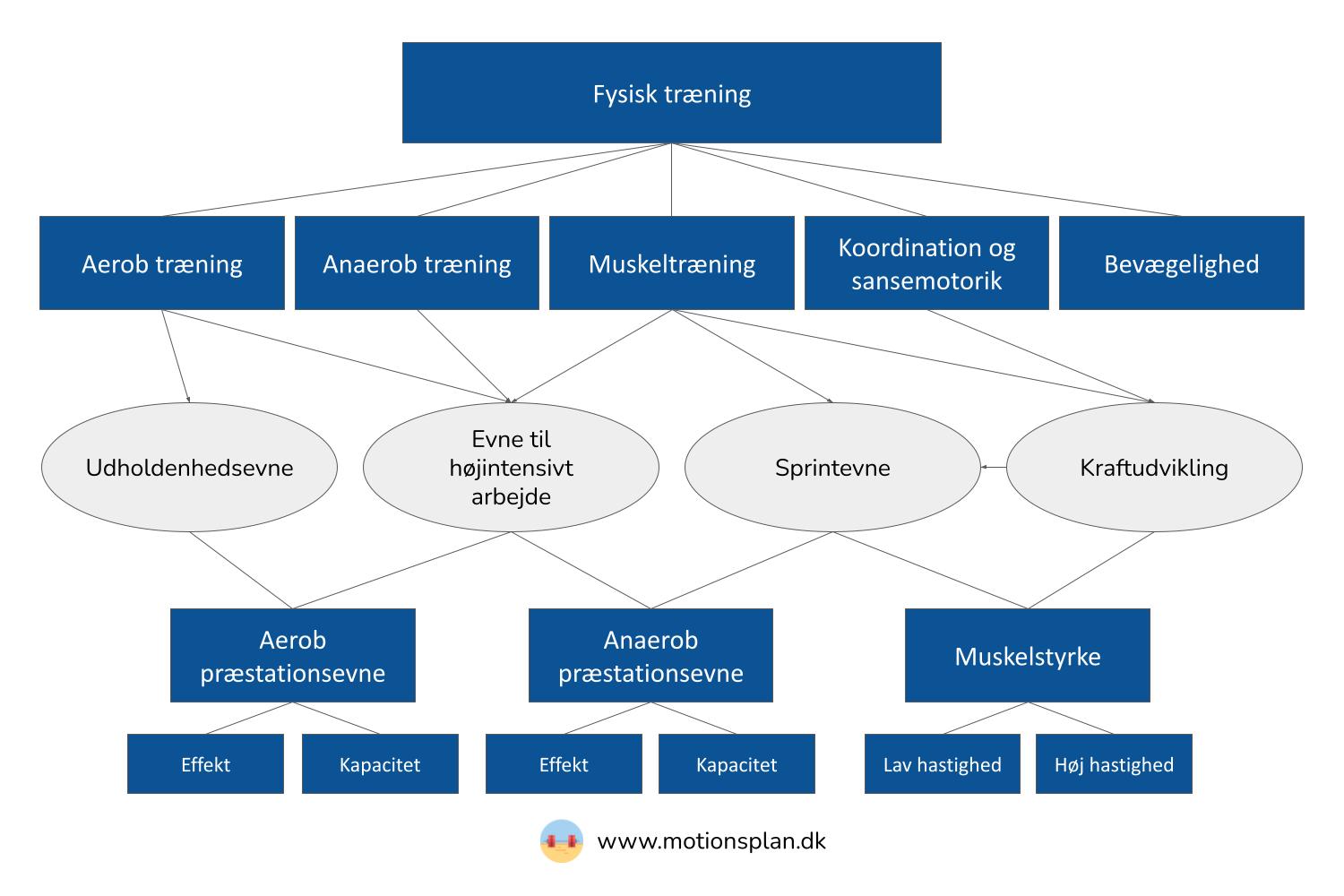 oversigt over fysisk træning