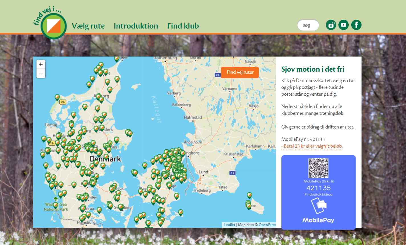 trailløb på findveji