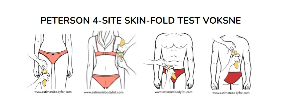 peterson fedtprocent målinger for børn