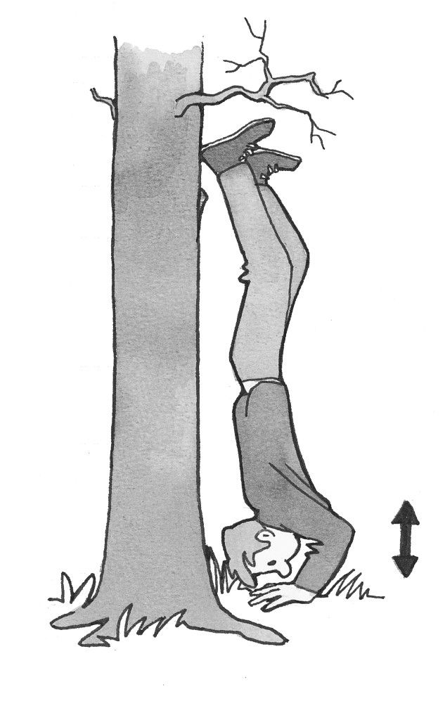 8. Armbøjninger fra håndstand op ad træ