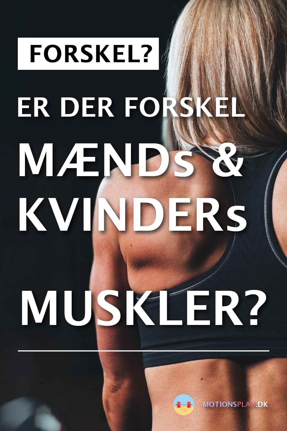 Er der forskel på mænds og kvinders muskler?