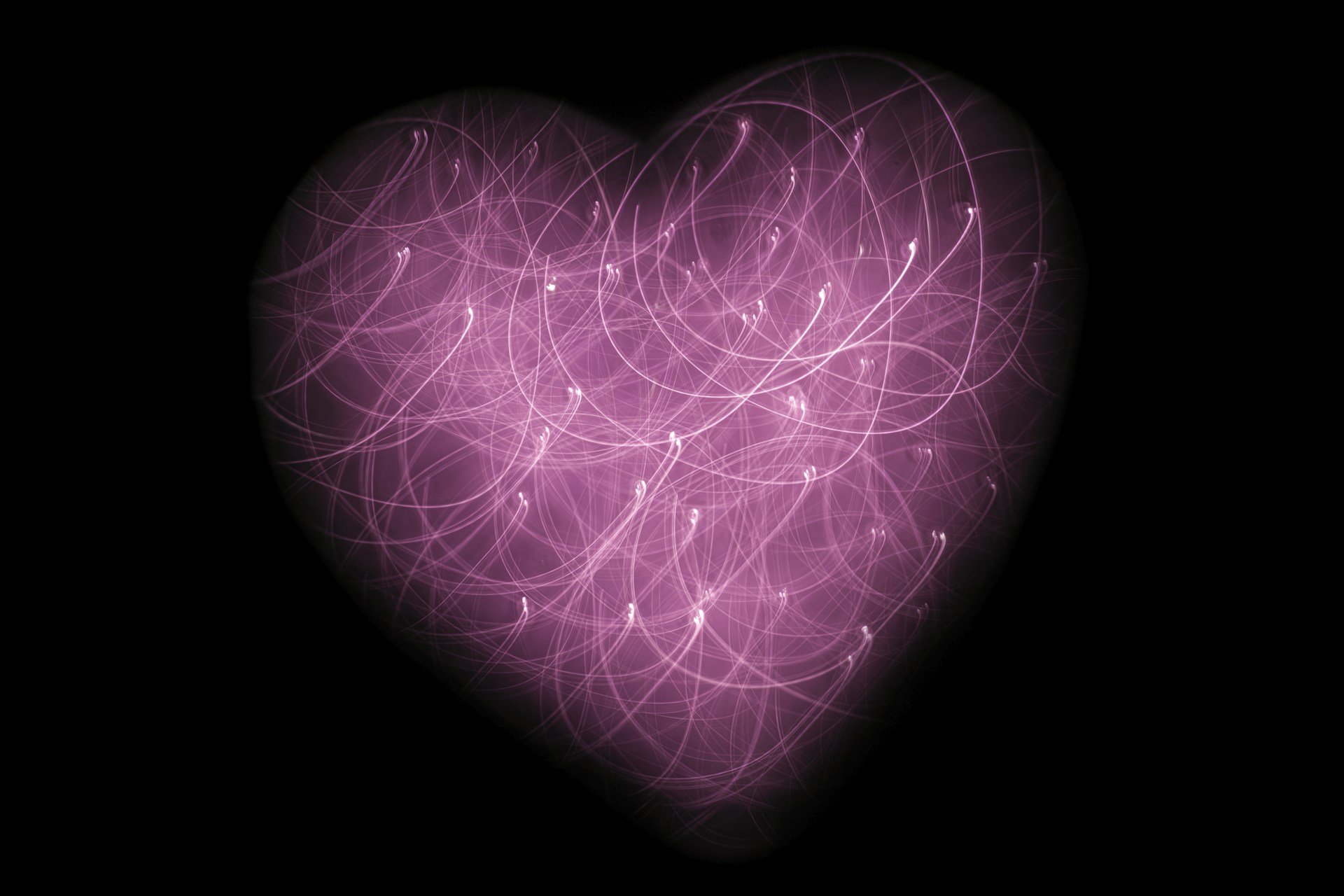 Hvilepuls: Hvad er hvilepulsen og hvordan måles den? 💓
